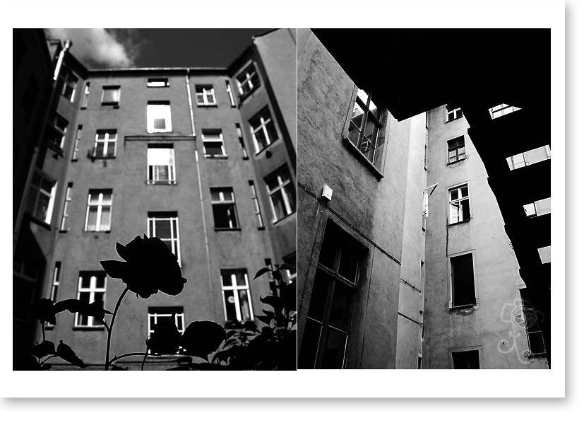 backyard001.png